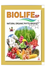 Biolife sp